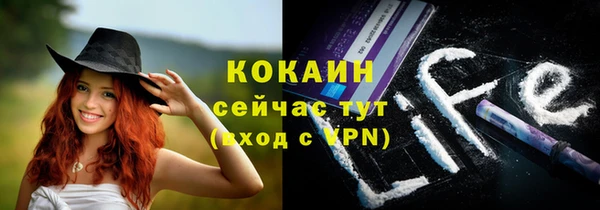 гидра Володарск