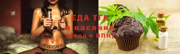 гидра Володарск