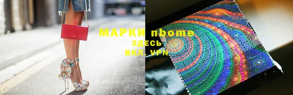 гидра Володарск