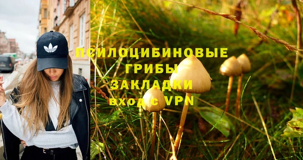гидра Володарск