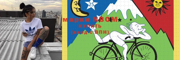гидра Володарск