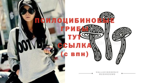 2c-b Волосово